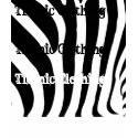 Women's zebra hoodie t-shirts by Titanic183 Women's zebra hoodie t-shirts