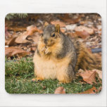 Wonder If I’m Eating Too Much? Mouse Pad