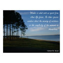 Wonder - Inspirational Quote posters by greshament Wonder - Inspirational Quote posters