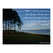 Wonder - Inspirational Quote posters
