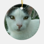 Wonder Look Ornament