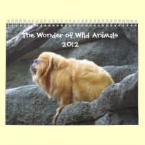 Wonder of Animals 2012 Calendar calendars