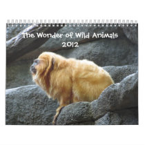 Wonder of Animals 2012 Calendar