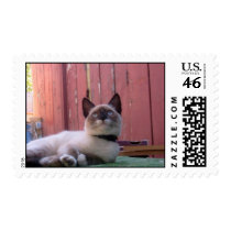 Wonder postage