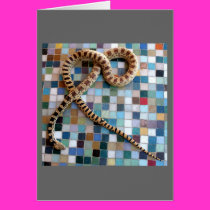 Wonder Valley Snake Card by magentaraven Wonder Valley Snake Card