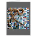 Wonder Valley Snake Card