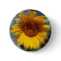 wonder walls buttons