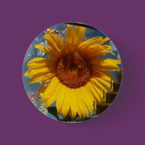 wonder walls buttons