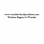 Wonder Why Alpaca Farm Logo Shirt Wonder Why Alpaca Farm Logo Shirt