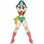 Wonder Woman Arms Crossed Shirt