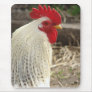 Wonderful Rooster Mouse Mats