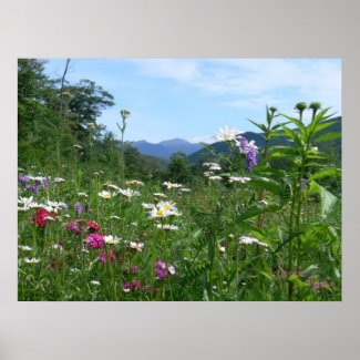 Wonderful view for the flowers print