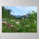 Wonderful view for the flowers posters