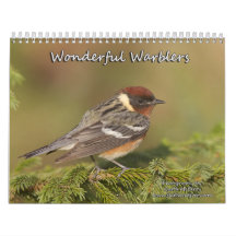 Wonderful Warblers Wall Calendar