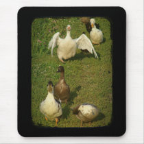 Wonderful Waterfowl mousepads