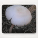 wonderful white mushroom mousepads