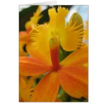 Wonderful You! Greeting Card