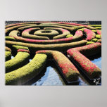 Wonderland Print