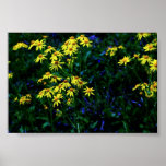 Wonderland Print