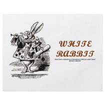 Wonderland White Rabbit flyers
