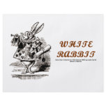 Wonderland White Rabbit flyers