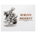 Wonderland White Rabbit Letterhead Design