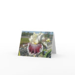 "WONDERS NEVER CEASE" Blank Iris Note Card
