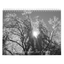 Wonders of an Ice Storm Calendars
