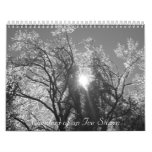 Wonders of an Ice Storm calendars