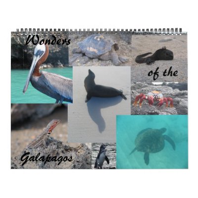 Wonders of the Galapagos Calendar by mike83