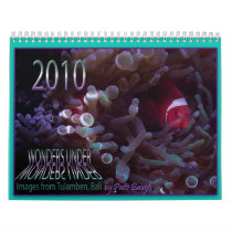 WONDERS UNDER calendars by doublepatti WONDERS UNDER calendars