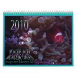 WONDERS UNDER CALENDAR
