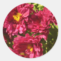 Wondrous Mums CricketDiane Art & Photography Round Stickers