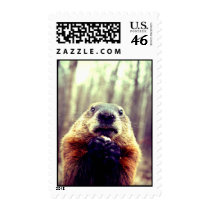 Wonky Marmot postage
