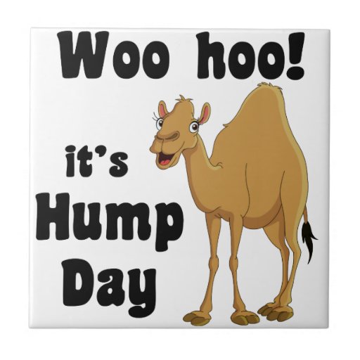 happy hump day cartoon