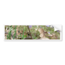 Wood Anemone Bumper Sticker