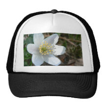 Wood Anemone Close Up Mesh Hat