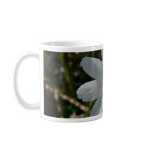 Wood Anemone Flower Coffee Mug