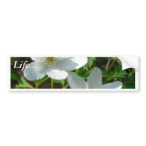 Wood Anemone In The Grass Bumper Sticker