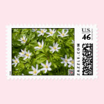 Wood Anemone stamps