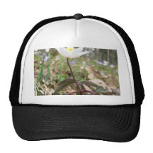 Wood Anemone Trucker Hat