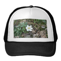 Wood Anemone With Old Leaves Mesh Hat