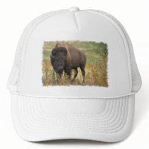 Wood Bison Baseball Hat