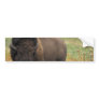 Wood Bison Bumper Stickers