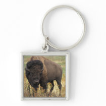 Wood Bison Keychain