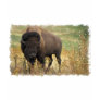 Wood Bison Kid's T-Shirt