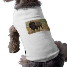 Wood Bison Pet Shirt