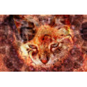 Wood Cat print