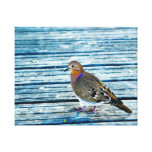 Wood Dove Canvas Print