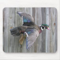 Wood Duck 2008 mousepads by Foster723 Wood Duck 2008 mousepads
